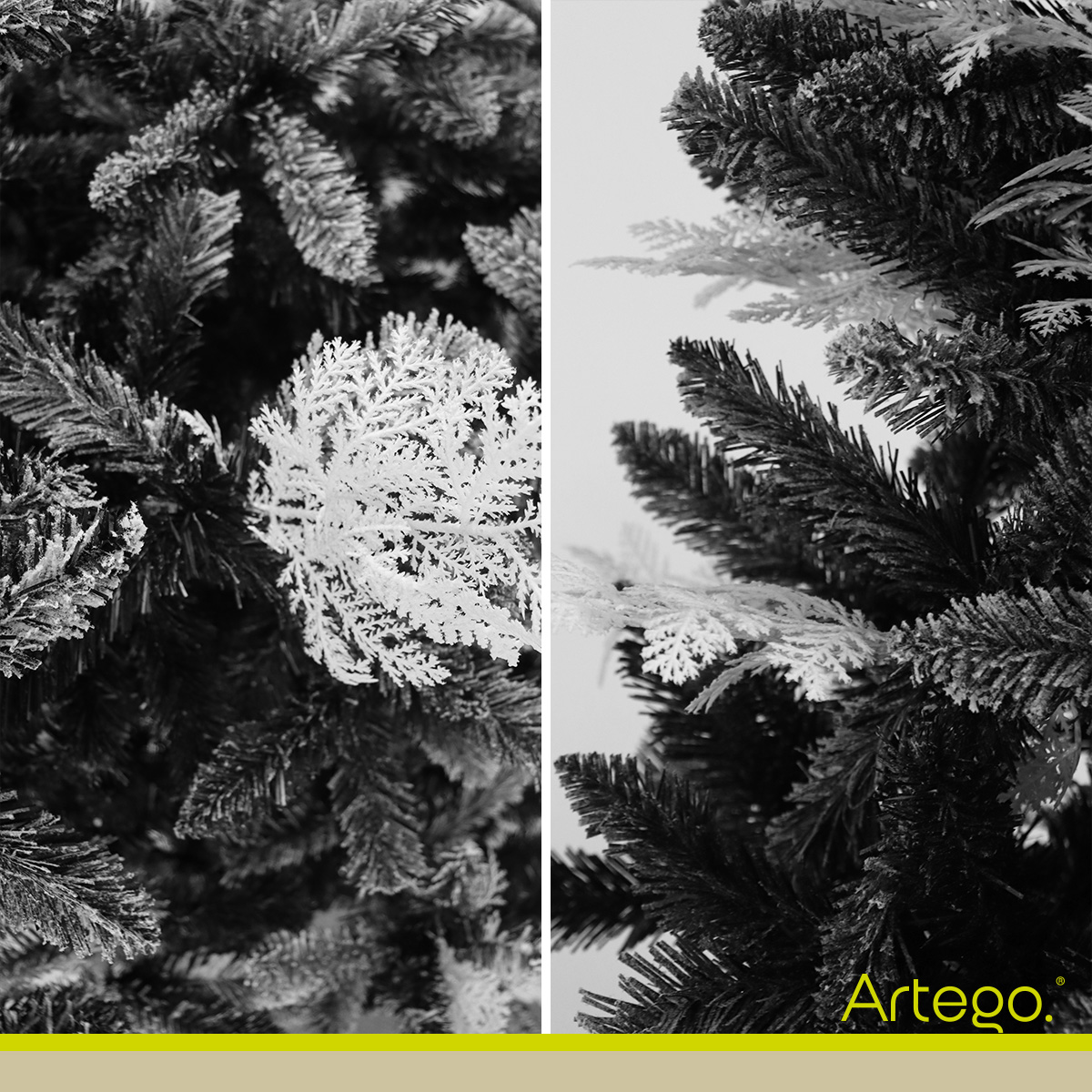 Árbol De Navidad semi Nevado Negro con ramas blancas Black Spruce Premium Pino Navideño 220 Cm De Alto con maleta transportadora Christmas Tree Artego