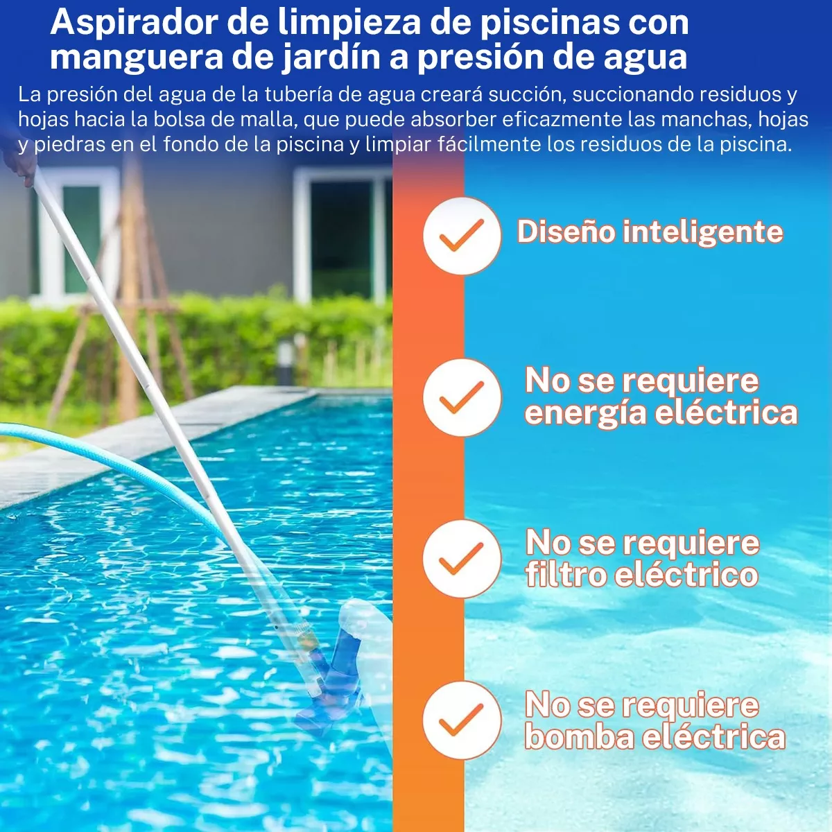 Aspirador Con Cepillo Para Piscinas Inflables