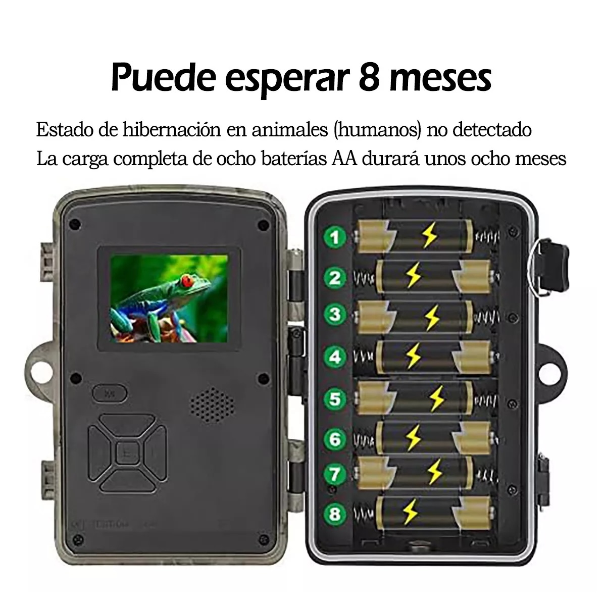 Cámara De Caza De Alta Definición De Visión Nocturna 16mp