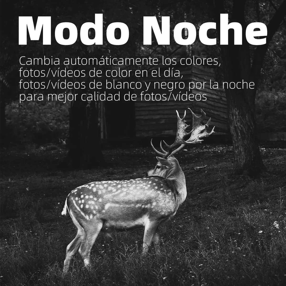 Cámara De Caza De Alta Definición De Visión Nocturna 16mp