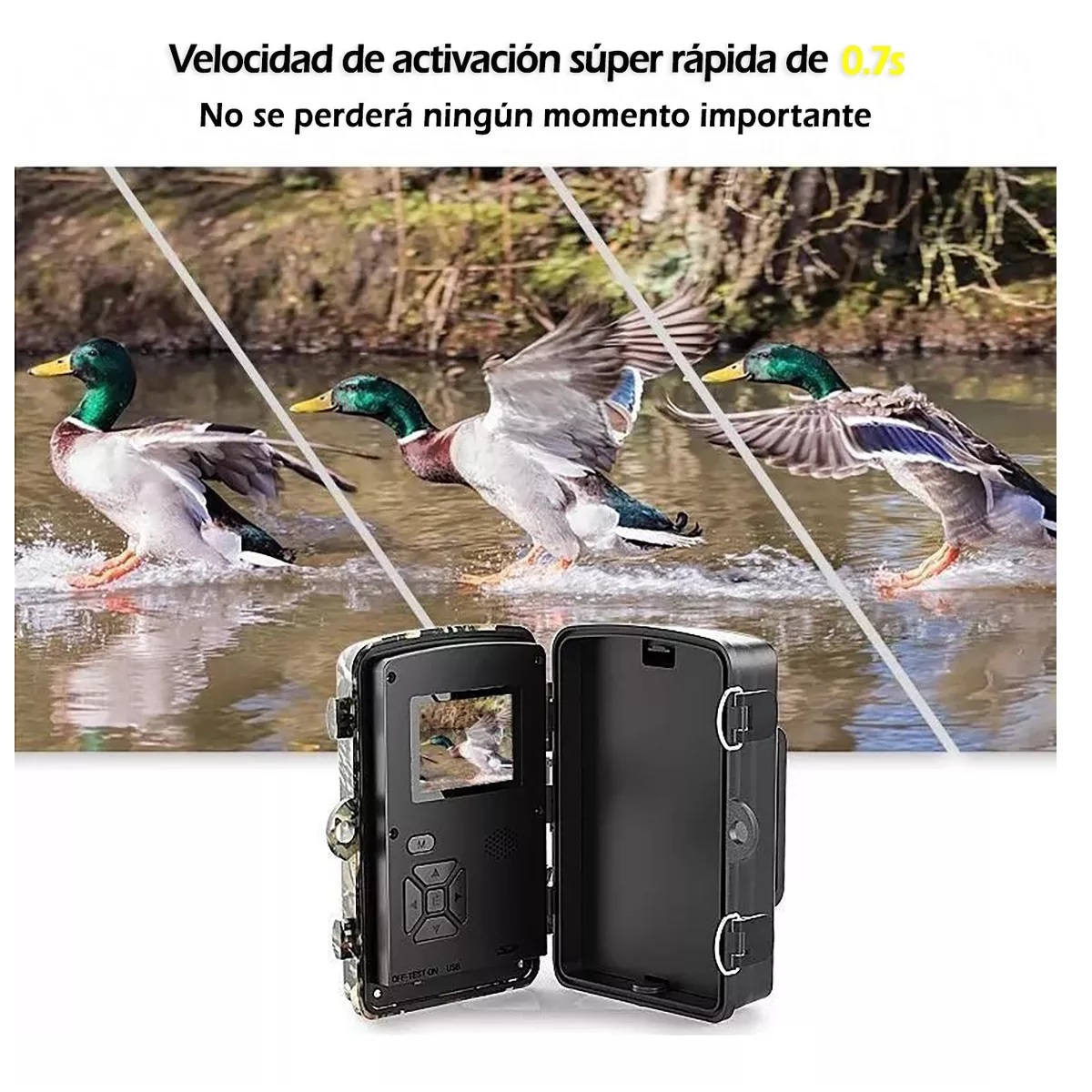 Cámara De Caza De Alta Definición De Visión Nocturna 16mp