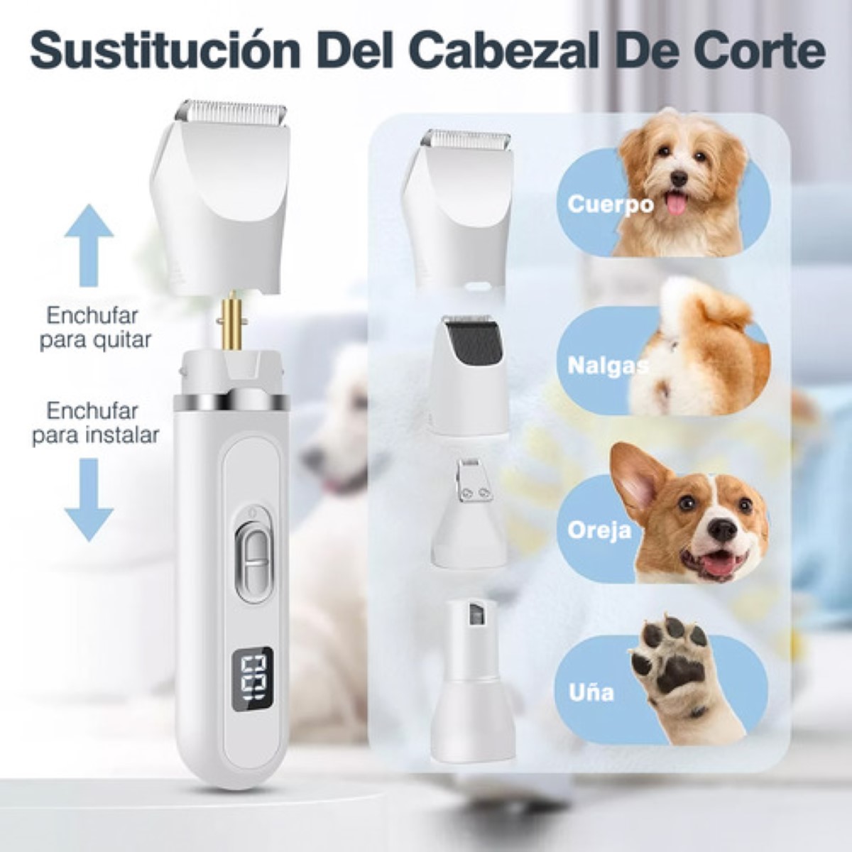 Afeitadora Mascotas Perros Cortadora Clipper 4en1 Rasuradora blanco