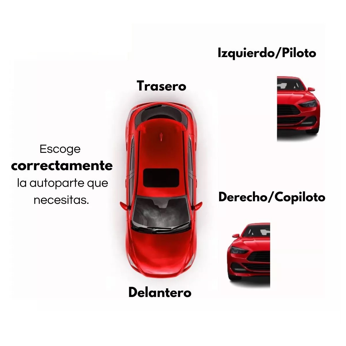 Calavera Para Beat Sedan 2018 2019 2020 2021 Derecho
