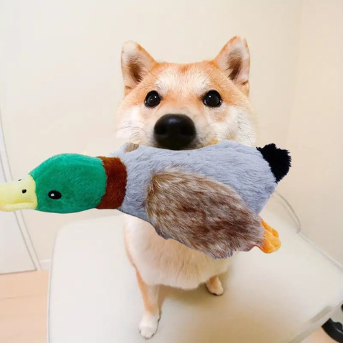 Peluches Para Perros Juguetes Para Mascota Pato