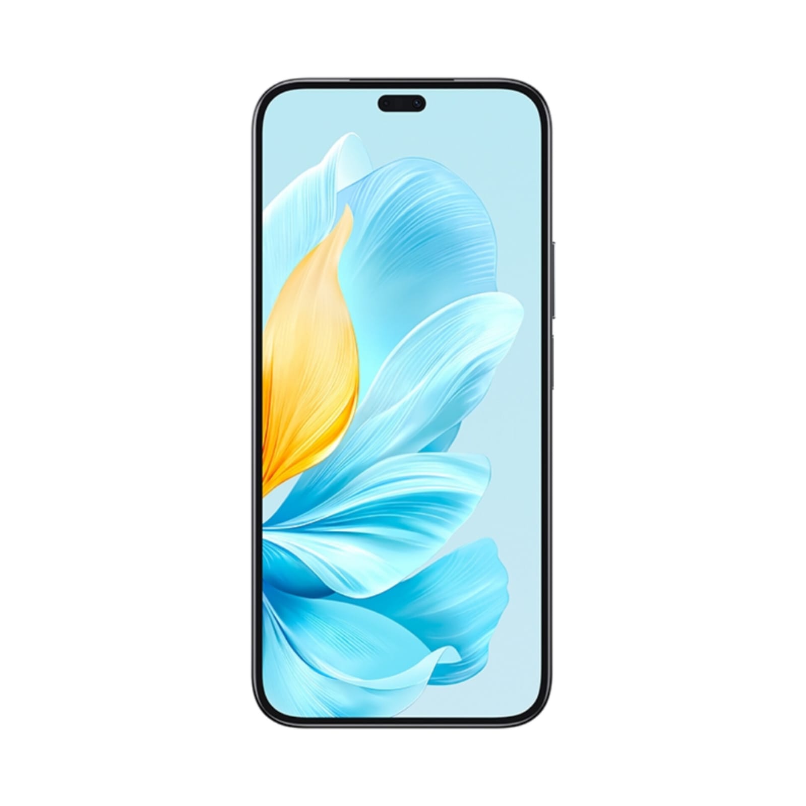 Honor 200 Lite 8GB 256GB Negro 
