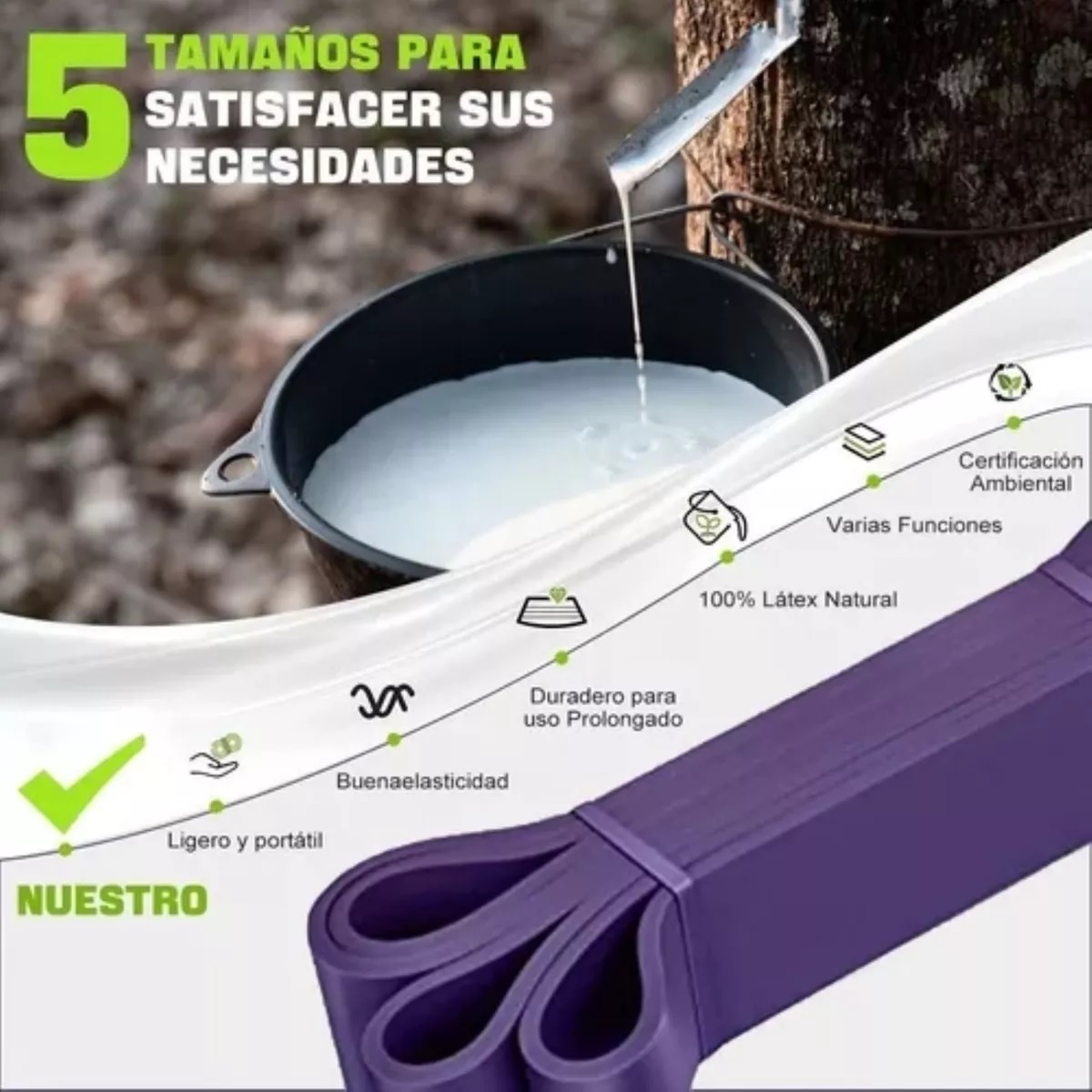 Set Ligas Resistencia 5 Bandas Elastica Pull Up Entrena En Casa