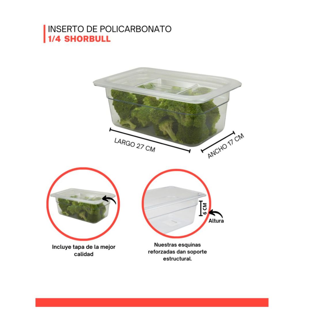  Inserto policarbonato 1/4 6cm con tapa Shorbull