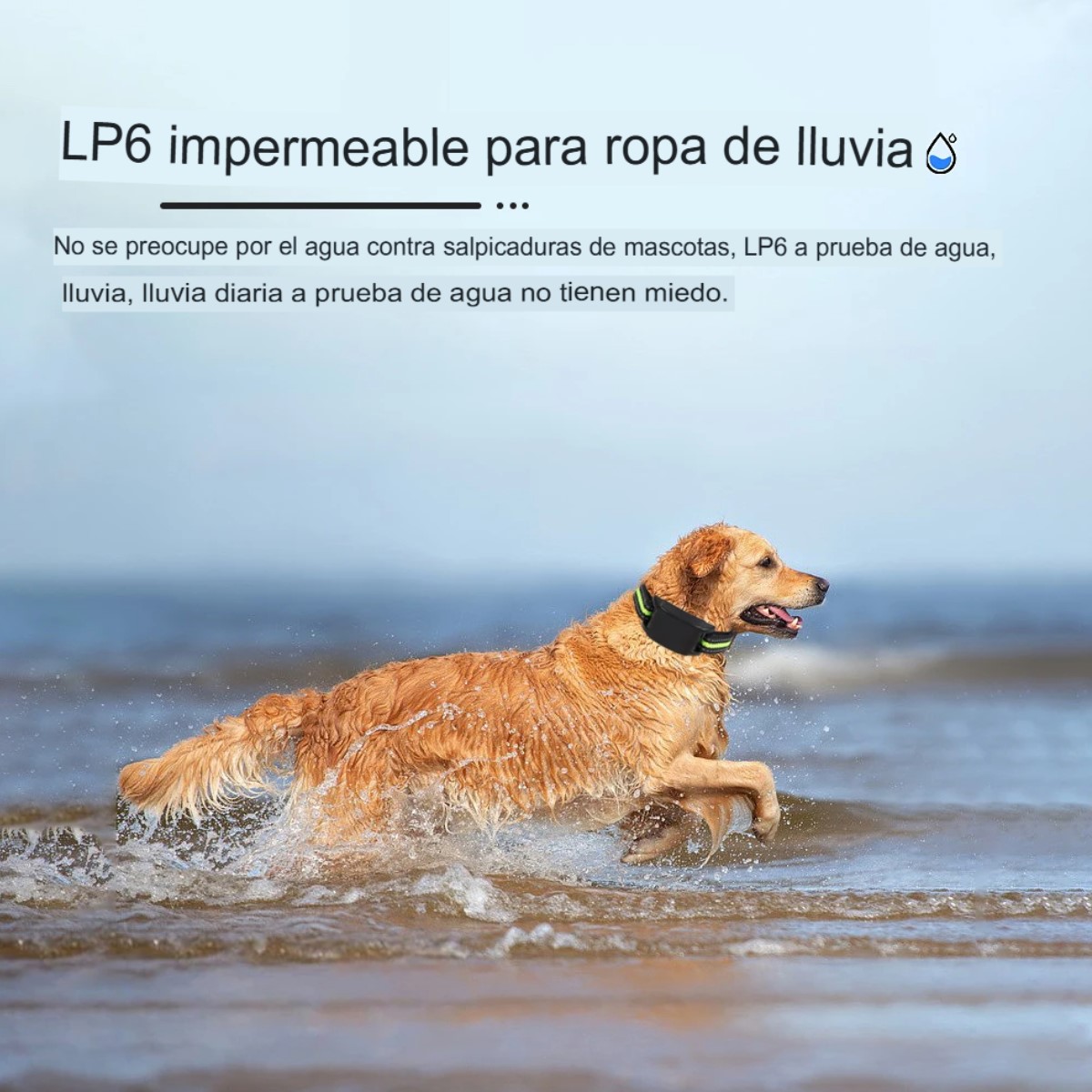 Collares entrenamiento verde led perros anti ladridos automático recargable USB seguridad casa