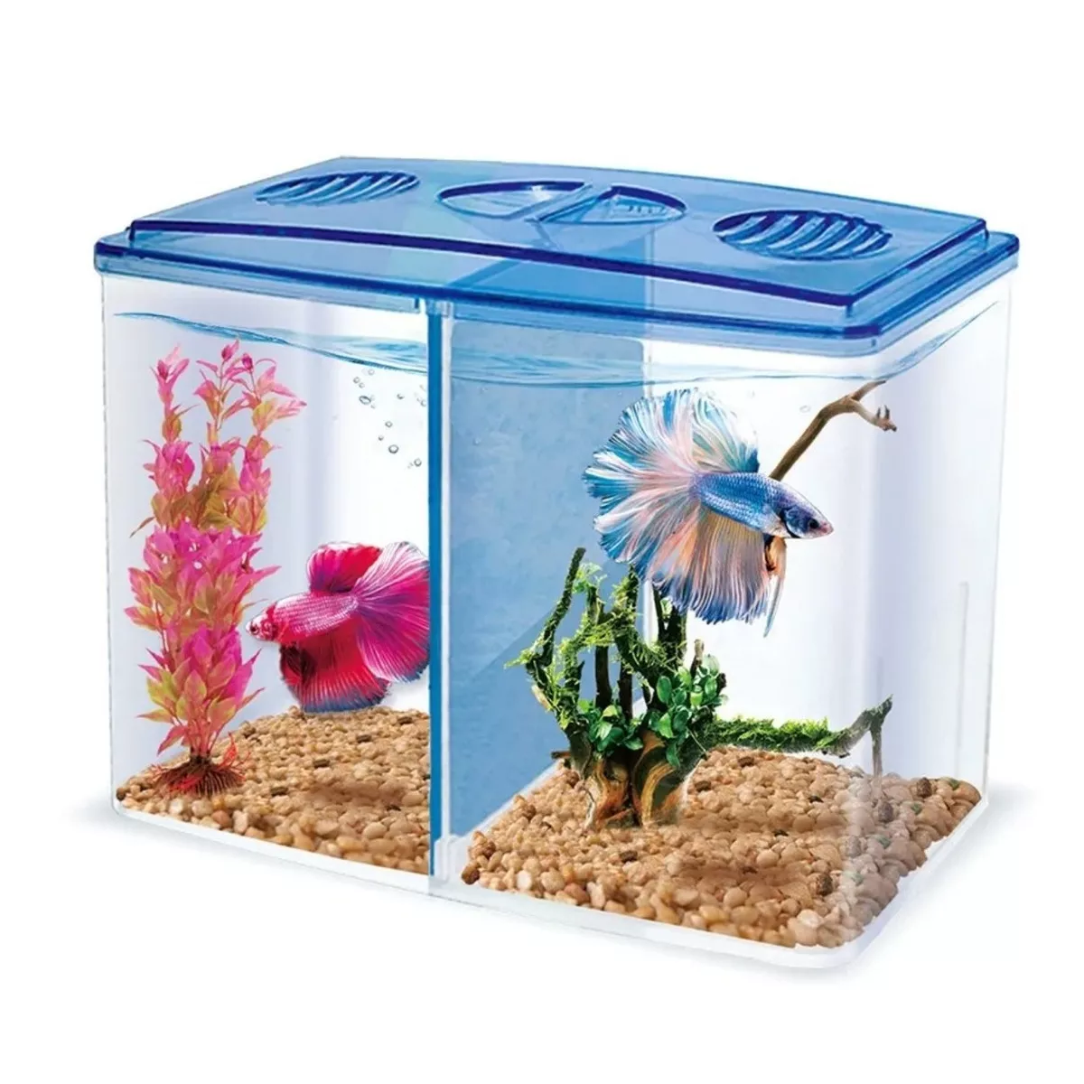 Bettera Doble 1.5 Lts Acuario Peces Betta