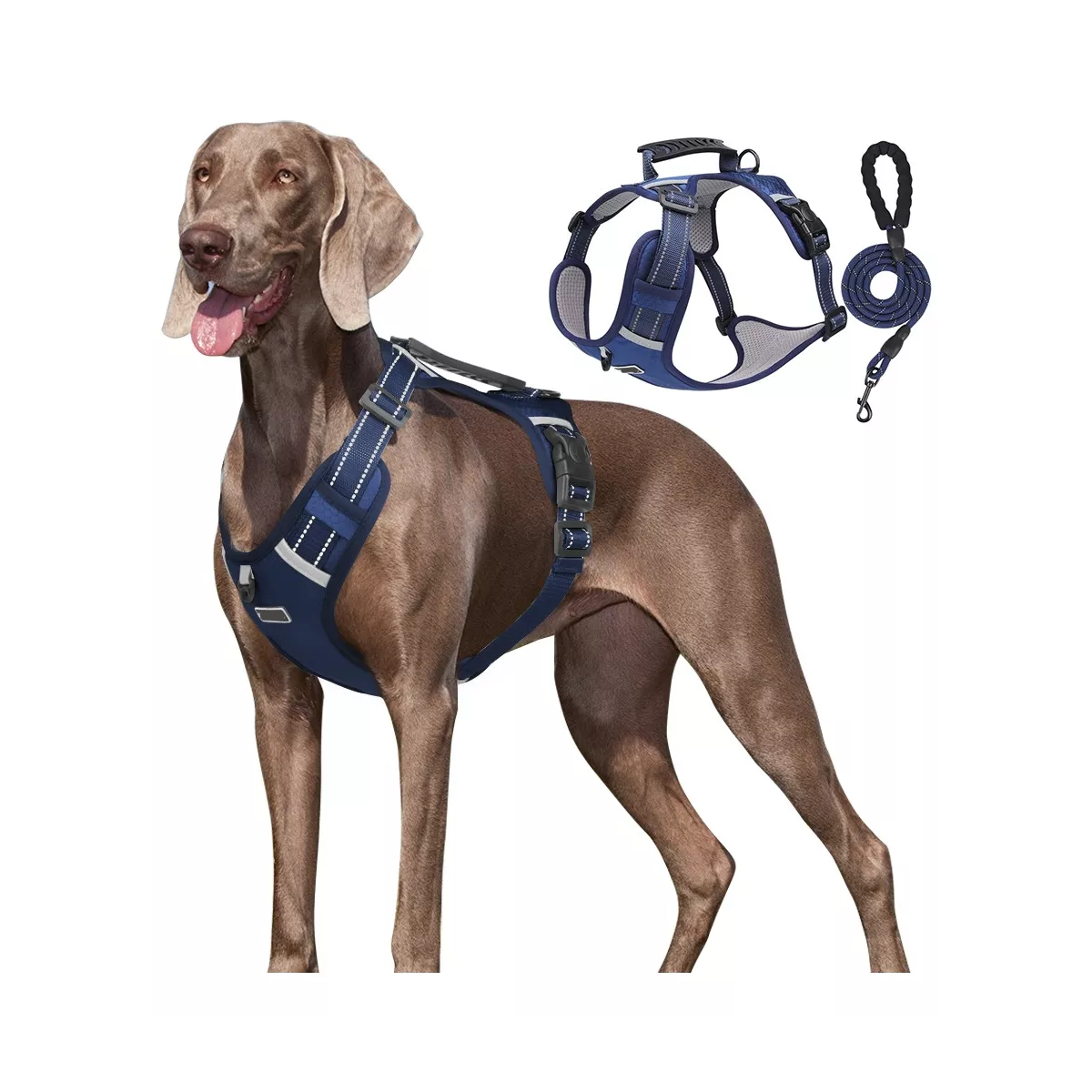 Pechera Arnés De Seguridad Para Perro Azul Marino Talla XL