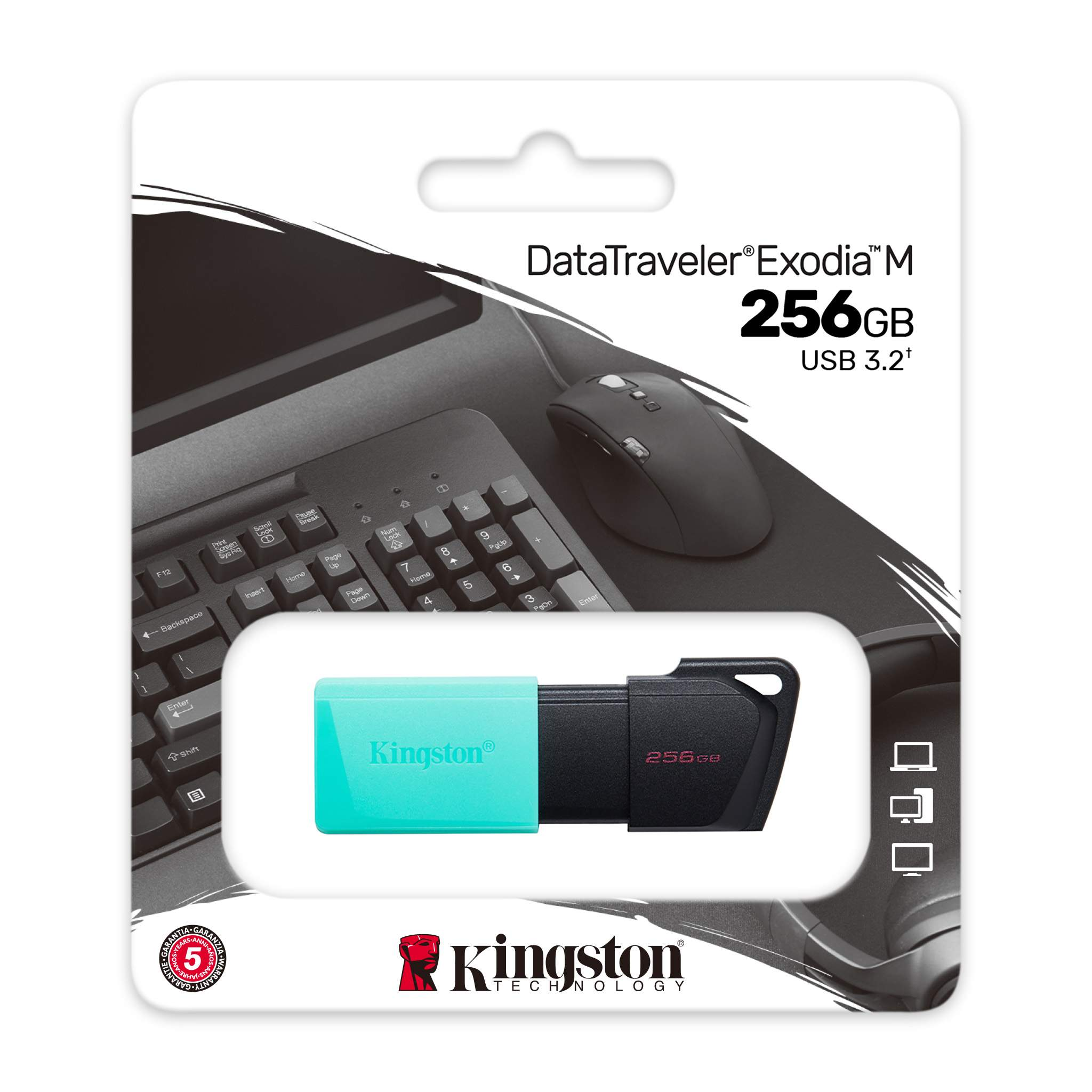 KINGSTON MEMORIA USB 3.2 EXODIA M 256GB DTXM-256GB