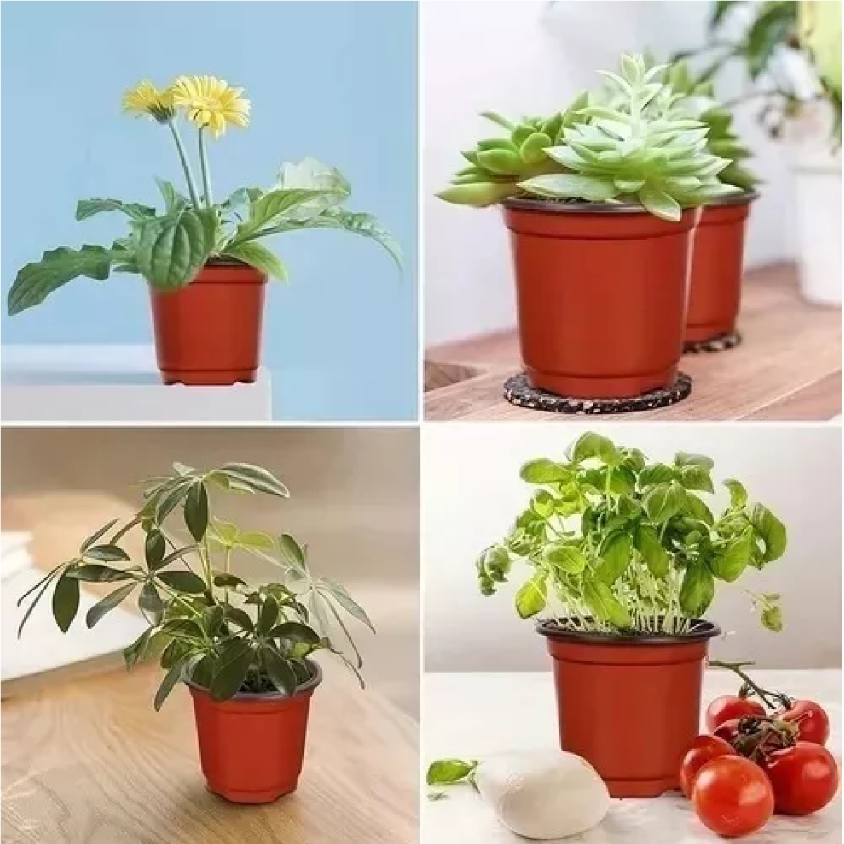 Maceta Blanda De 3 Pulgadas Maceta Fácil De Plántulas 100pcs