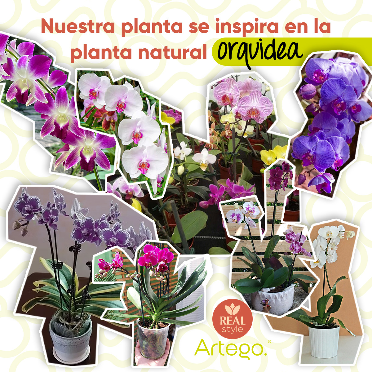 Planta artificial moderna con maceta decorativa Real Style Orquídea Compacta Pack de 2 unidades de 40cm de alto Artego para hogar sala comercio oficina Novia