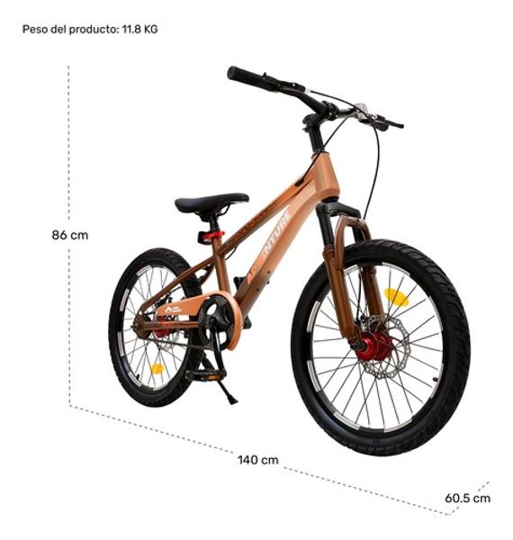 Bicicleta Infantil Niños Rodada 20 Cuadro Acero Frenos Disco Naranja