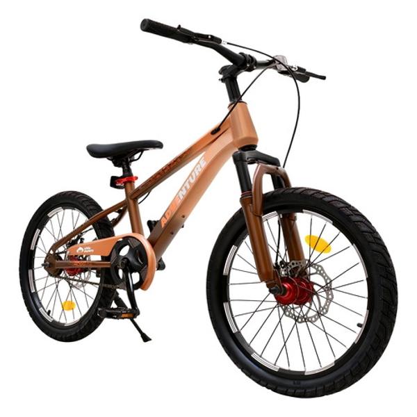 Bicicleta Infantil Niños Rodada 20 Cuadro Acero Frenos Disco Naranja