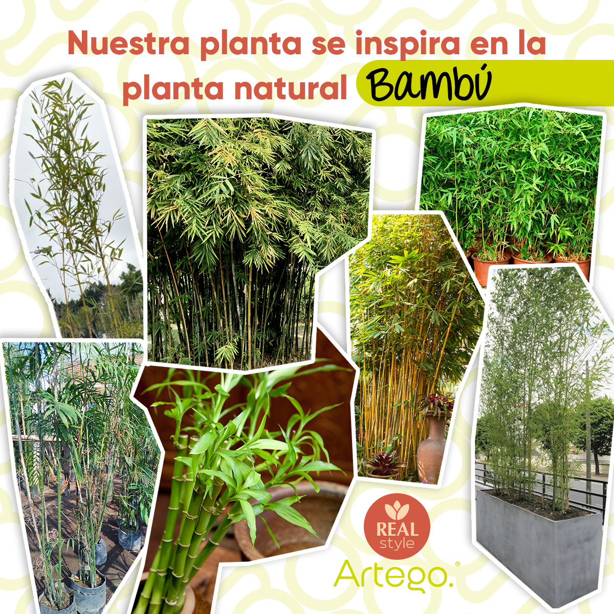 Planta artificial moderna con maceta decorativa Real Style Bambú grande de 180cm de alto Artego para hogar sala comercio oficina