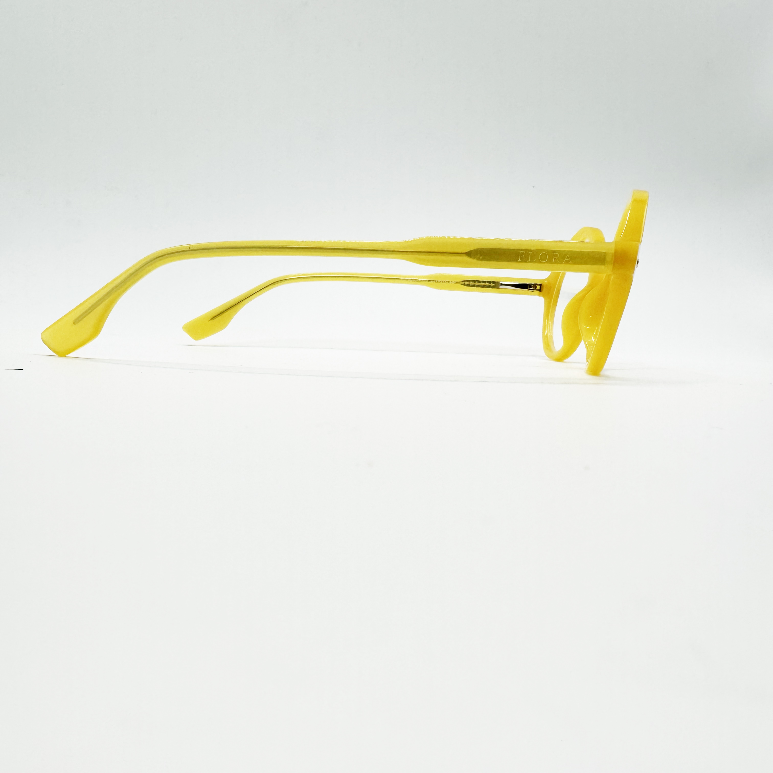 Lentes Multifuncionales Oftalmologicos P/Sol Leon Flora