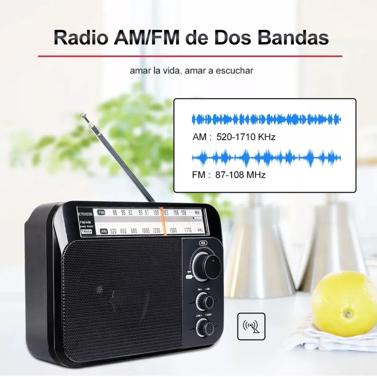 Radio Am Fm Portátil Para Mayores Con Esfera Y Pomo Grande