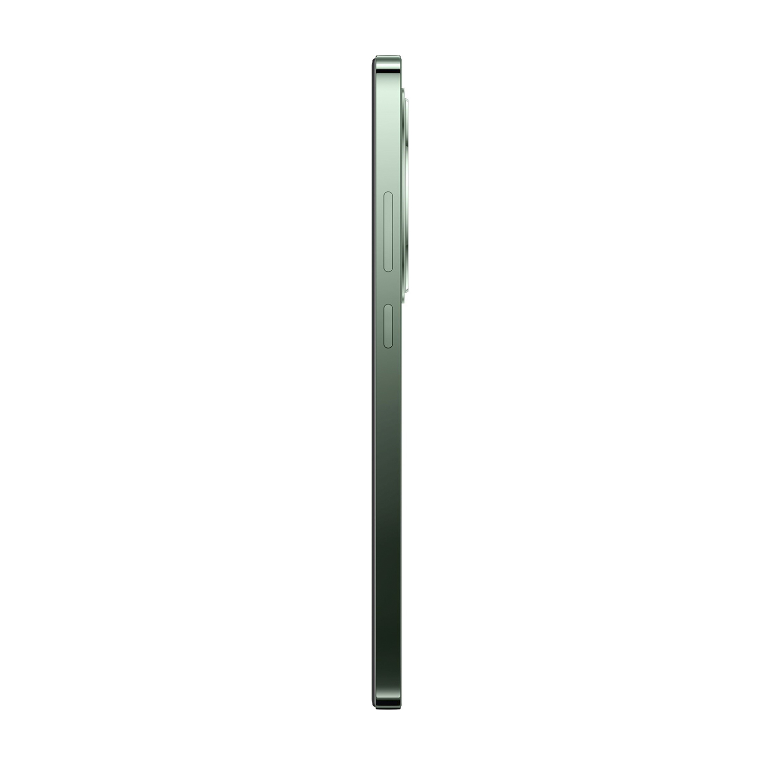 Oppo Reno 12F 12Gb 256Gb 5g Verde 
