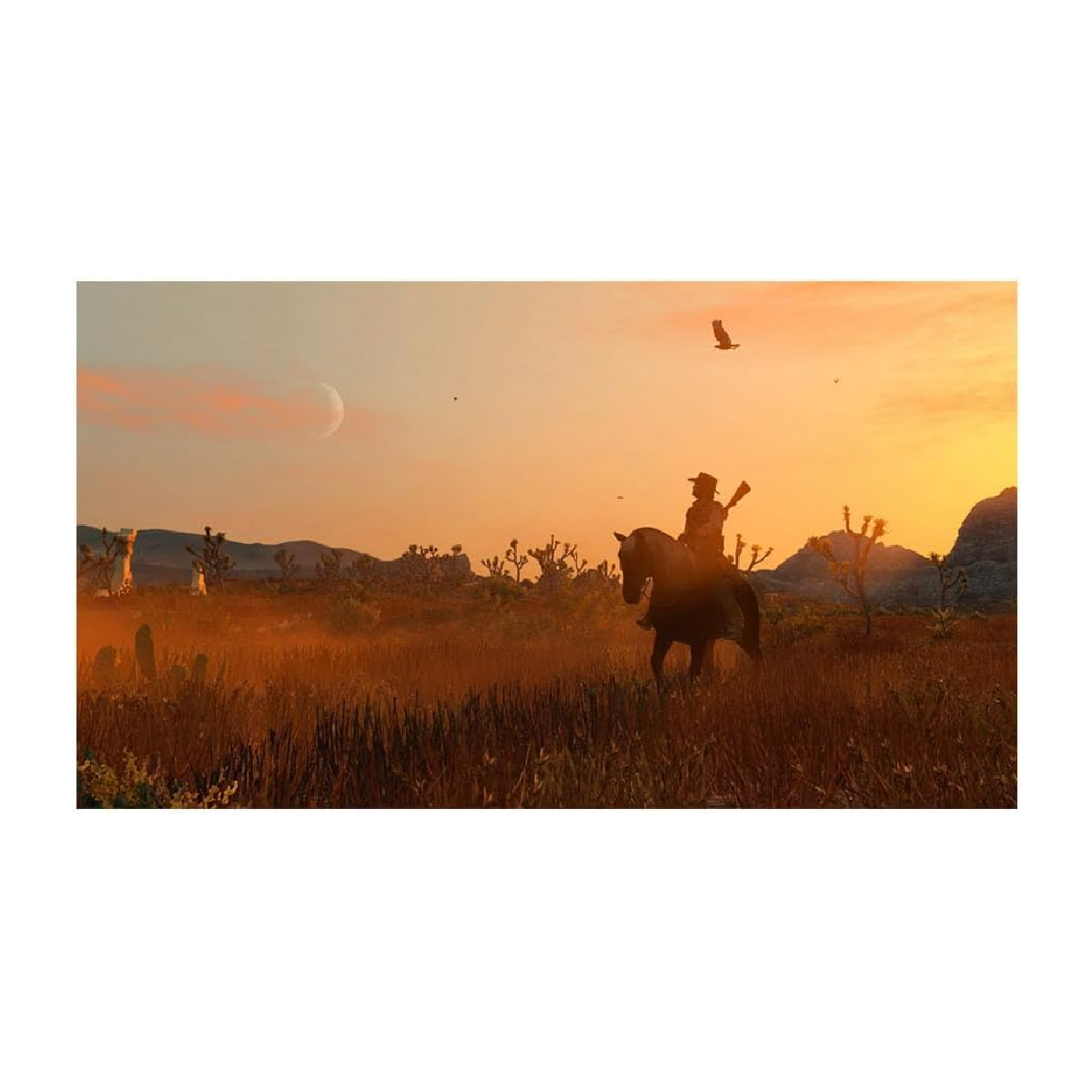 Nintendo Switch Juego Red Dead Redemption 