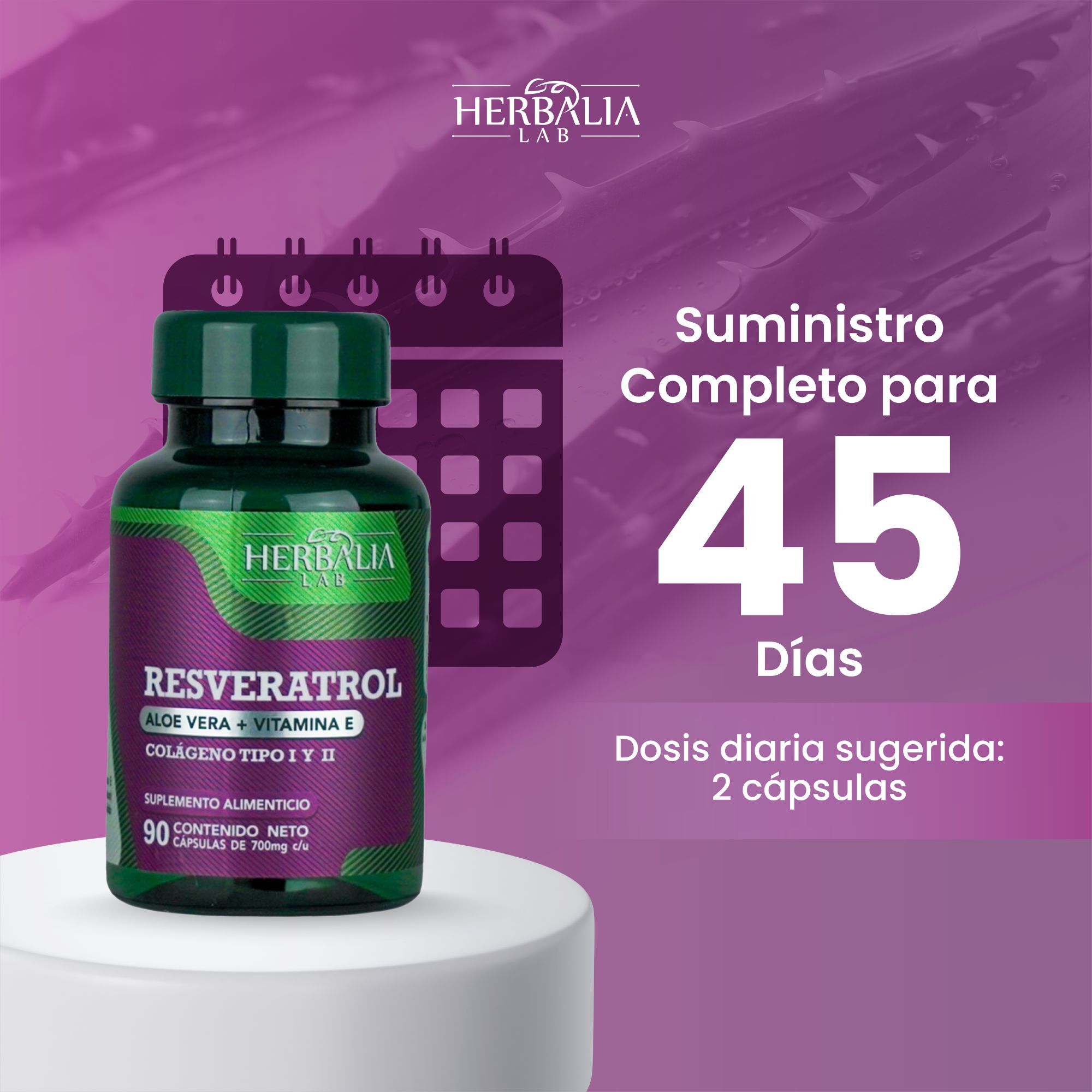 Herbalia Lab | Resveratrol 500mg con Vitamina E y Colágeno, Antioxidante Superior para Salud y Piel - 90 Cápsulas