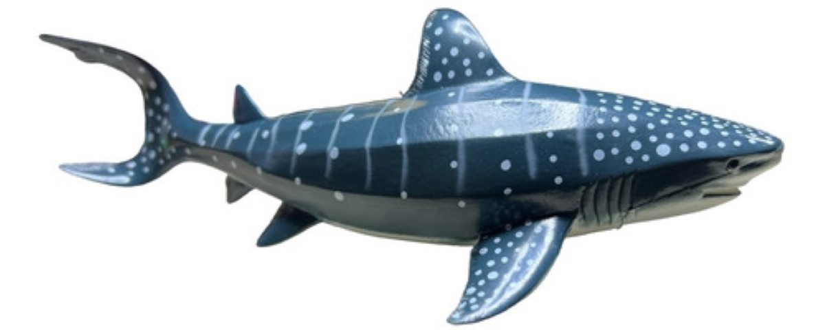Animales Marinos Tiburón Martillo Ballena Jorobada Orca 24 cm azul
