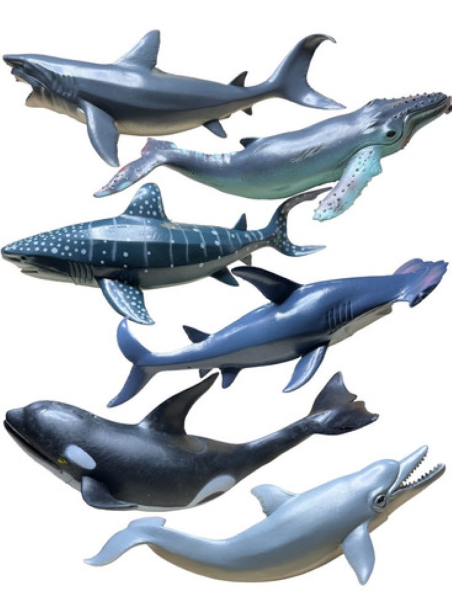 Animales Marinos Tiburón Martillo Ballena Jorobada Orca 24 cm azul