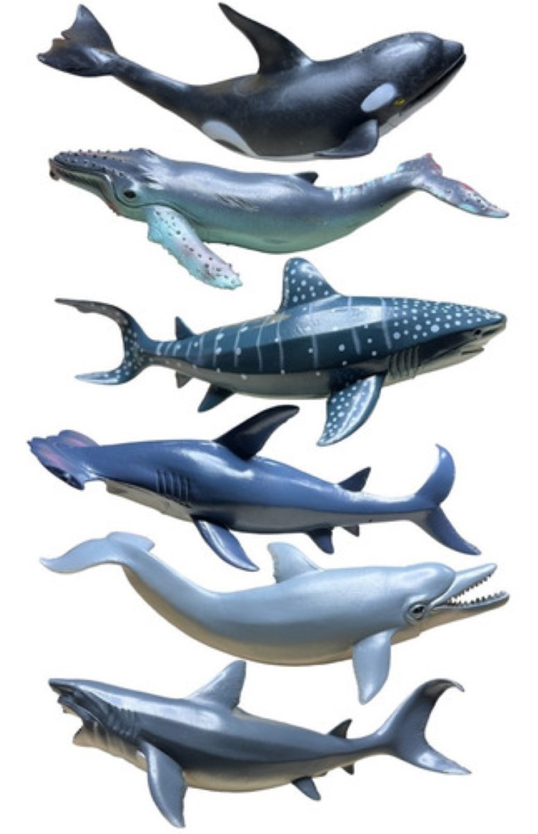 Animales Marinos Tiburón Martillo Ballena Jorobada Orca 24 cm azul