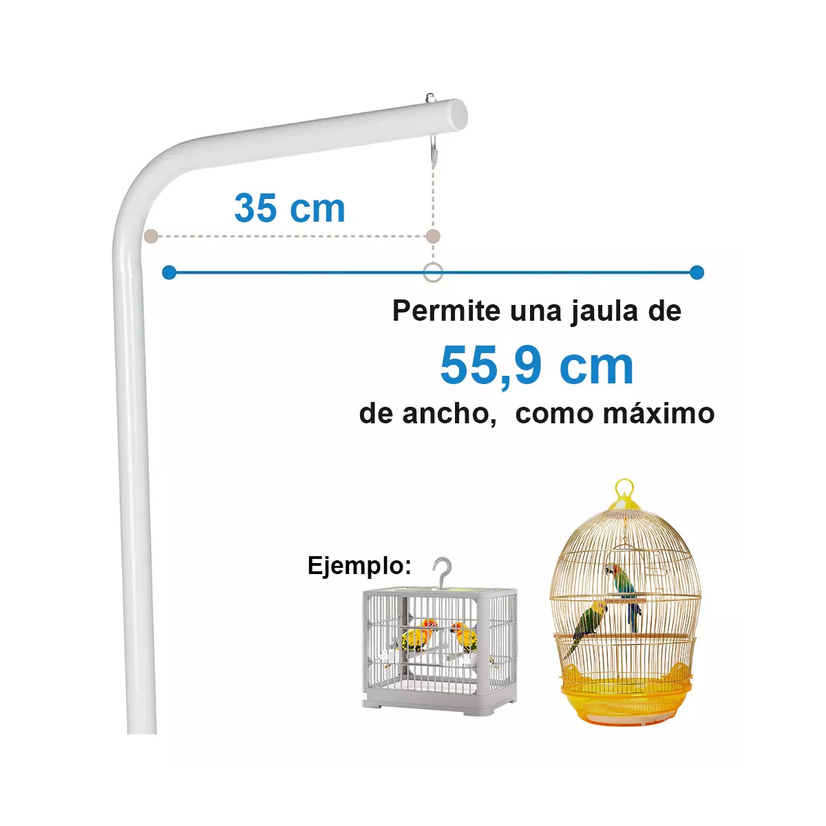 Jaularodante Para Pájaro Aves Canario Perico Mediano Soporte Blanco