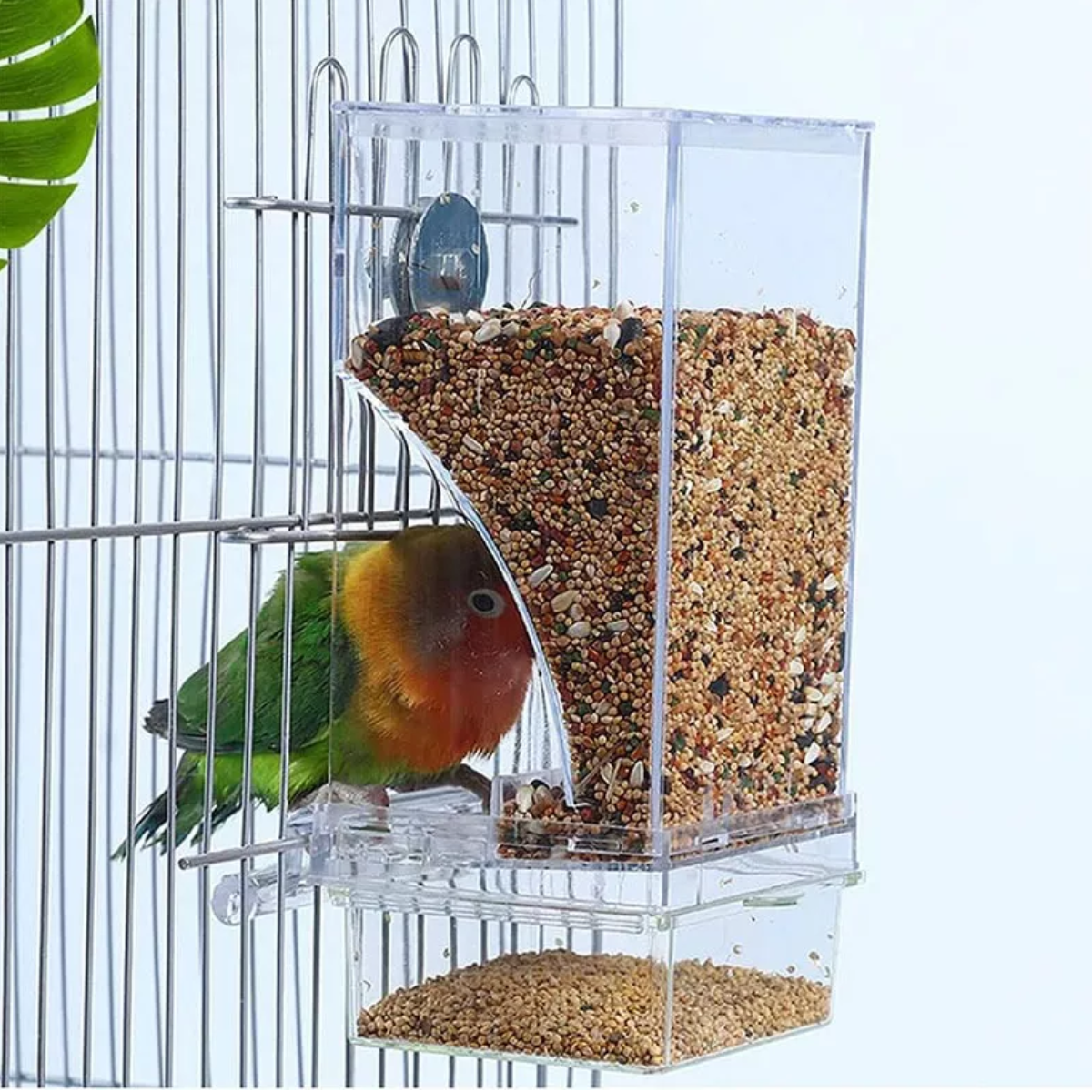 Comedero Automático Para Jaulas De Pájaros Acrílica 600g