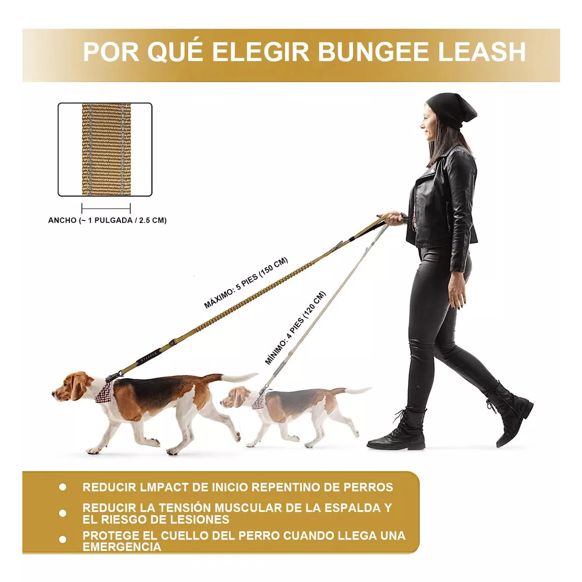 Correa Cinturón De Seguridad Para Perro Grande Reflectante Caqui