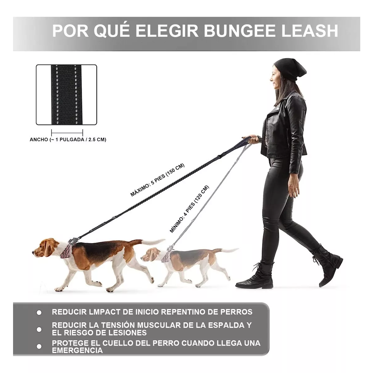 Correa Cinturón De Seguridad Para Perro Grande Reflectante Negro