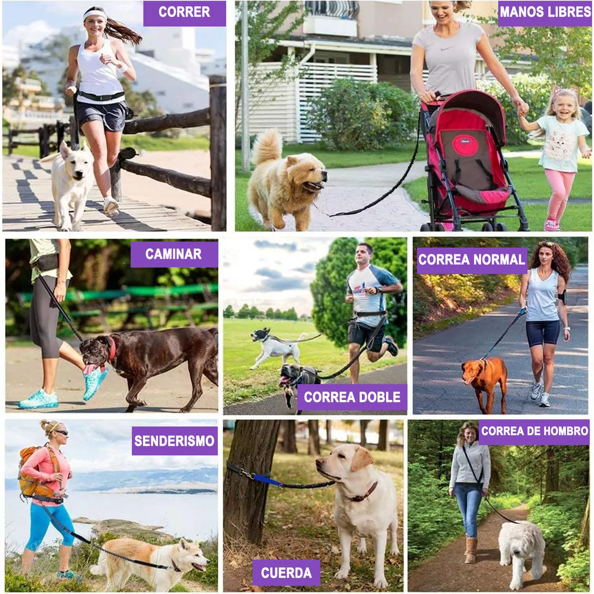 Riñonera y Correa Para Perro Manos Libres Caminar Correr Negro