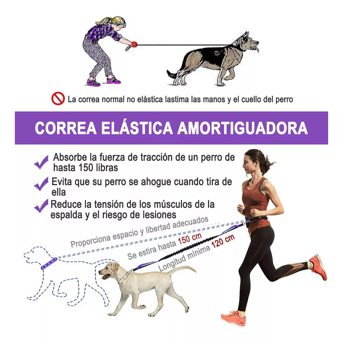 Riñonera y Correa Para Perro Manos Libres Caminar Correr Negro