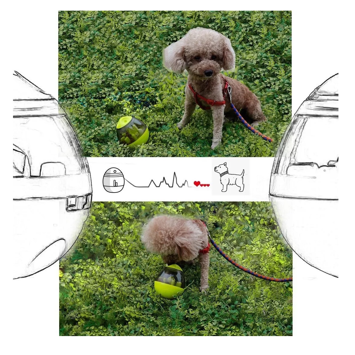 Juguetes Para Perros Pelotas De Juguetes Interactivos