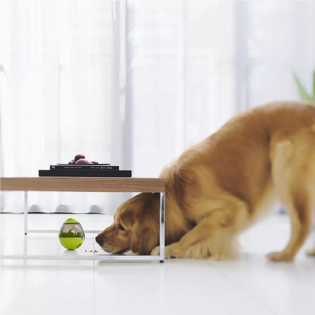 Juguetes Para Perros Pelotas De Juguetes Interactivos