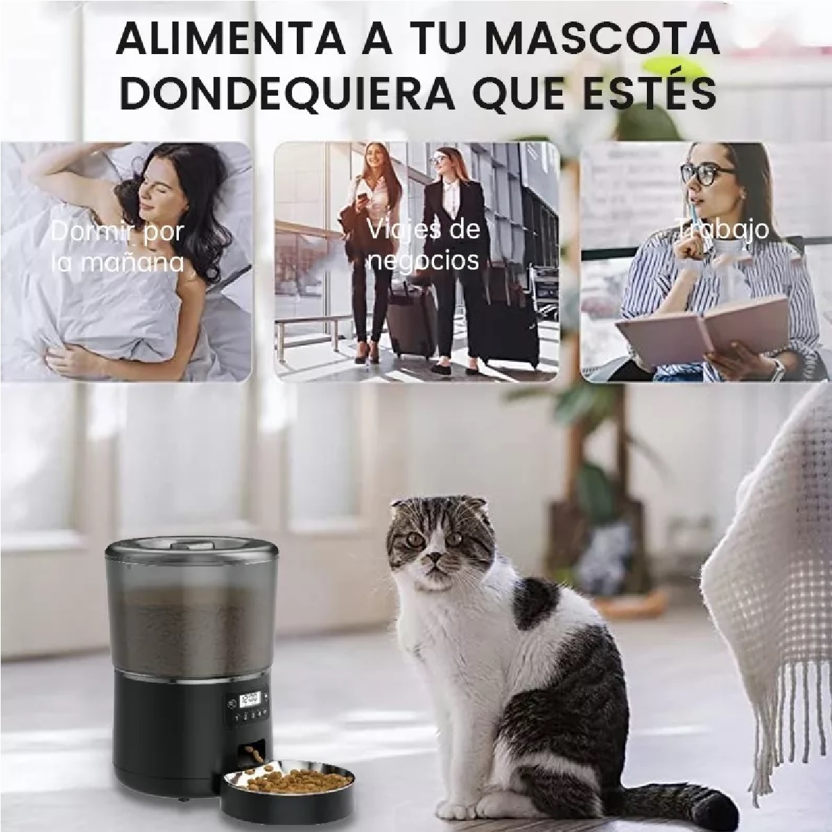 4l Alimentador Automatico Perro Gato Mascota Pantalla Touch