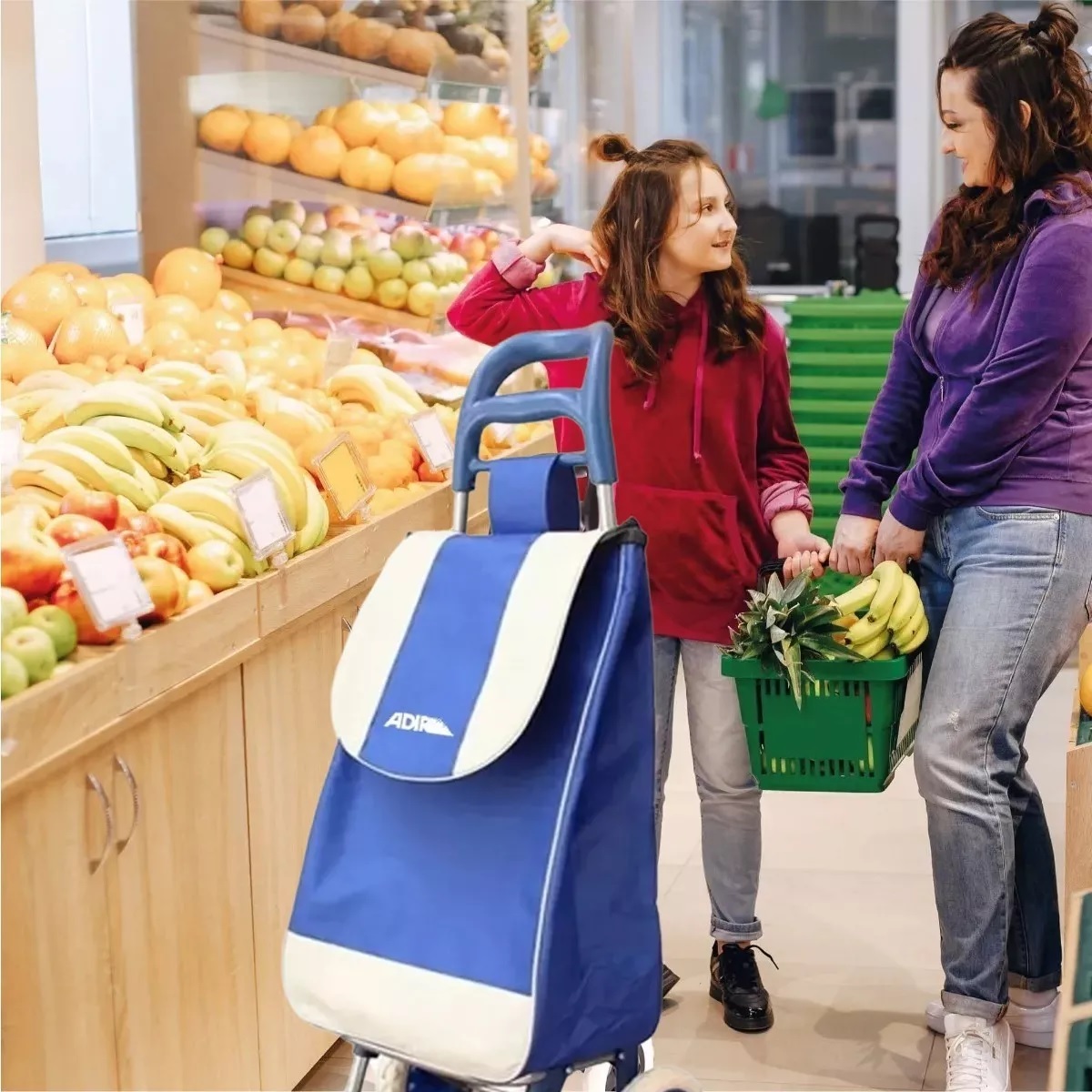 Carrito Para Mandados Compras Plegable Multiusos Resistente
