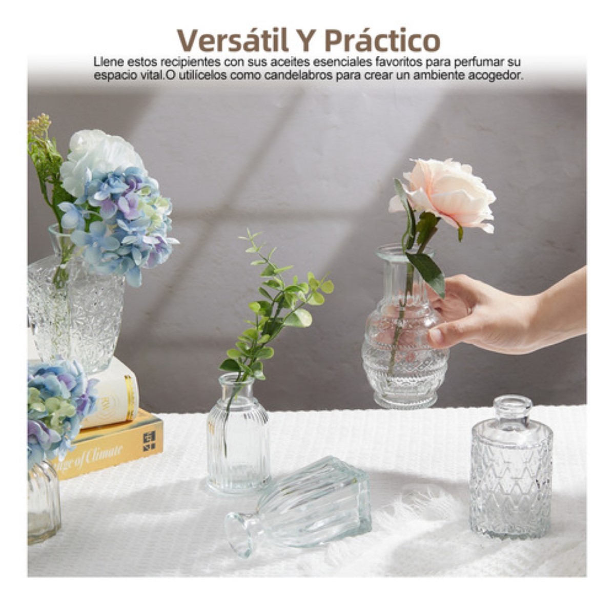 Juego De 12 Floreros Jarrones De Vidrio Cristal Transparente