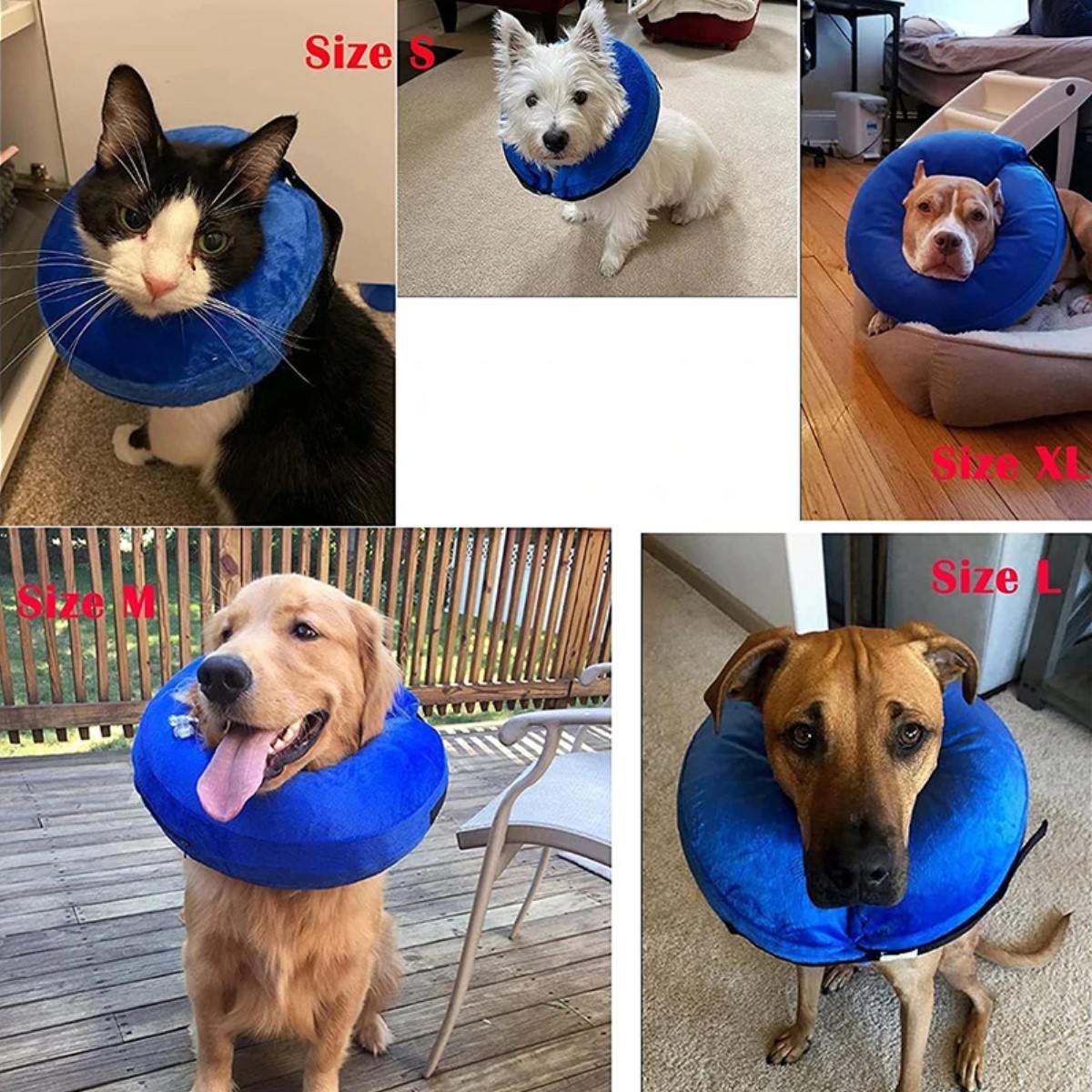 Collar isabelino dona azul XL protector perros gatos recuperación suave mascotas tela cómodo grande