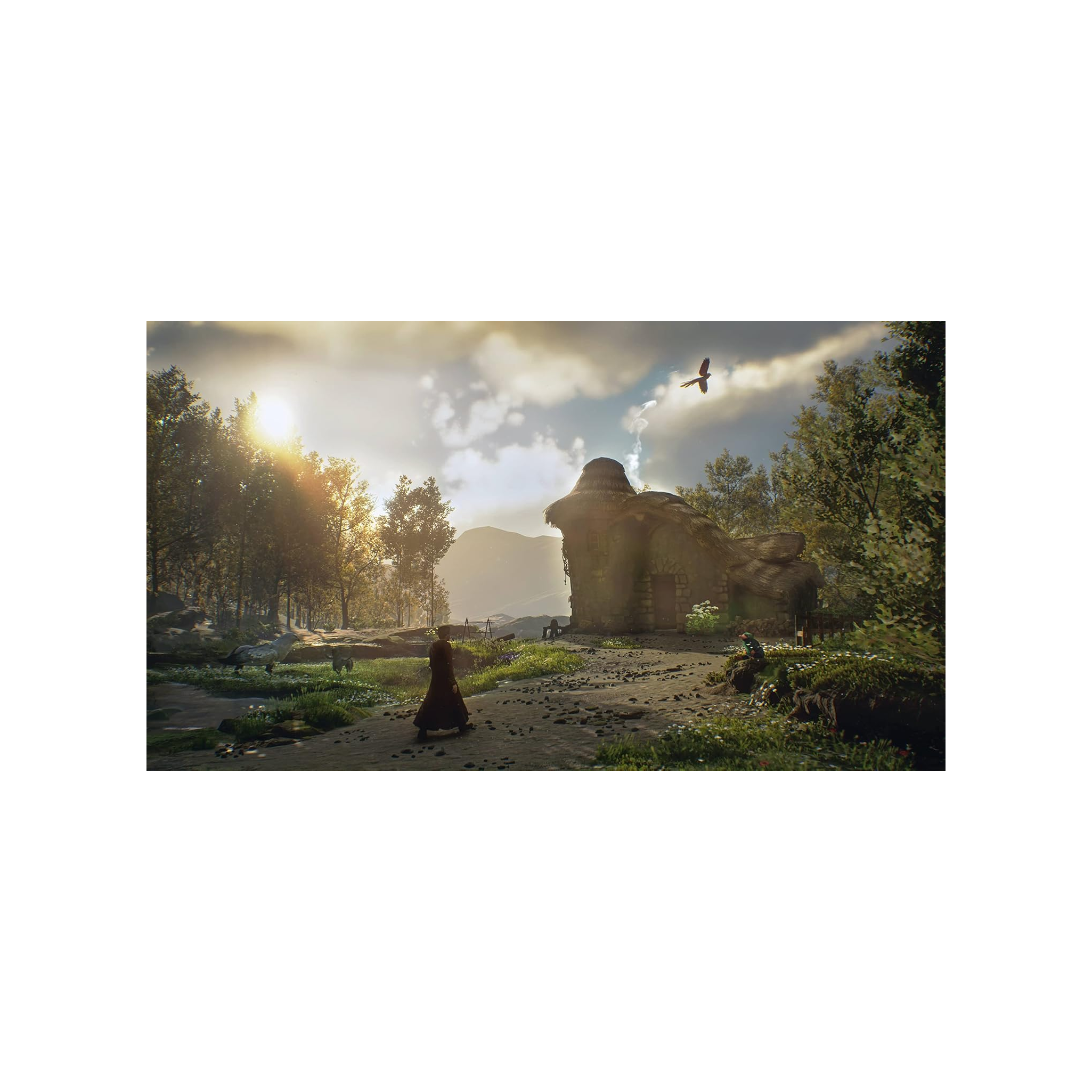 PS4 Juego Hogwarts Legacy