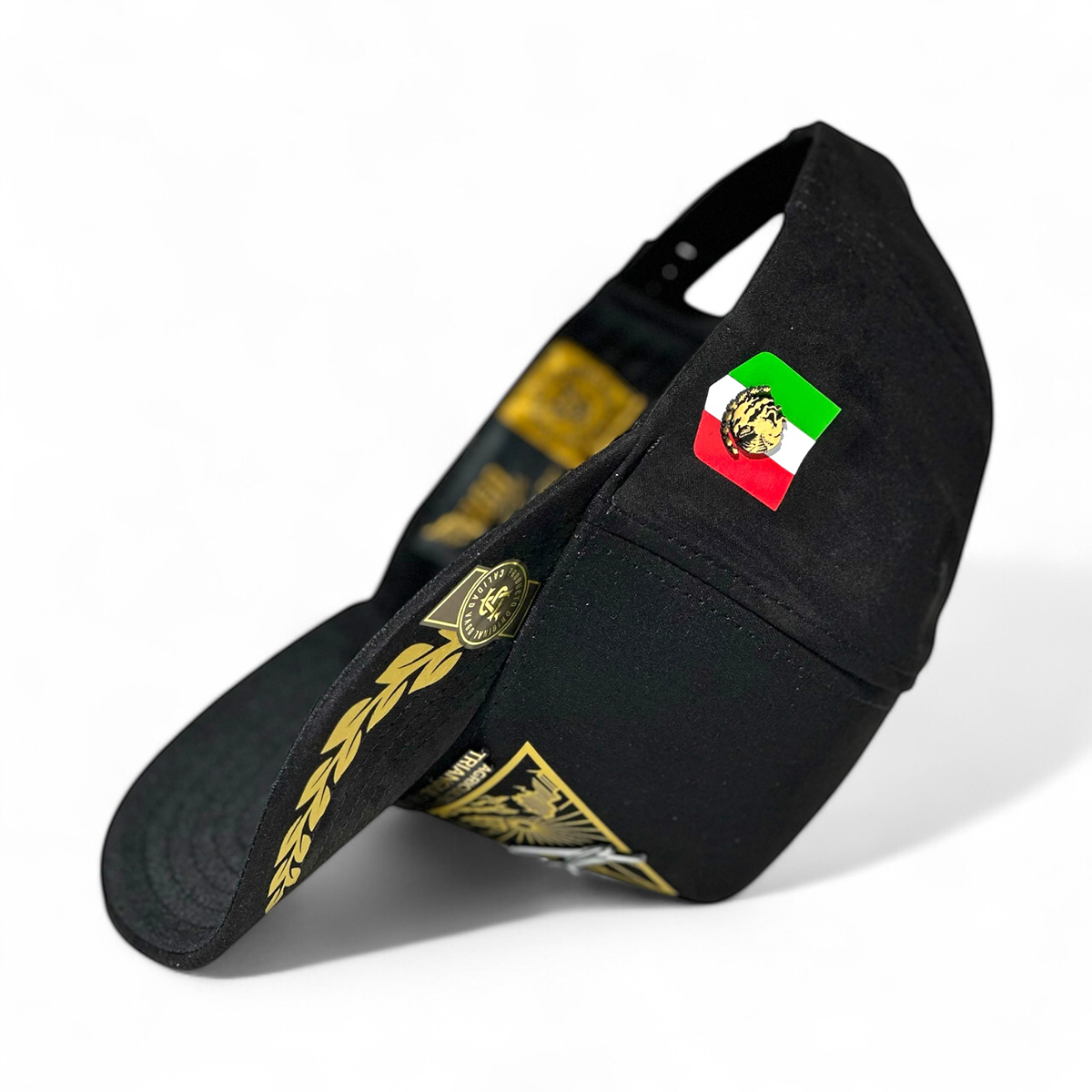 Vago Style Gorra Triángulo Dorado Snapback Negra Visera Curva de Gamuza
