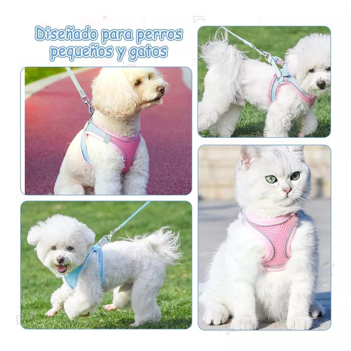 Set 2 Pechera Arnés Y Correa Para Perros Y Gatos Estilo1 Talla XS