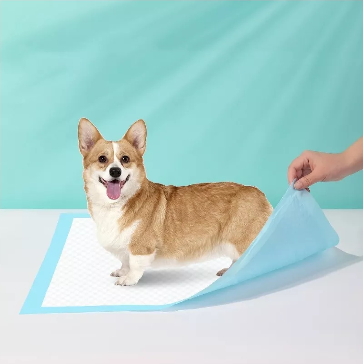 40 Piezas 60cm*60cm Tapete Entrenador Perro