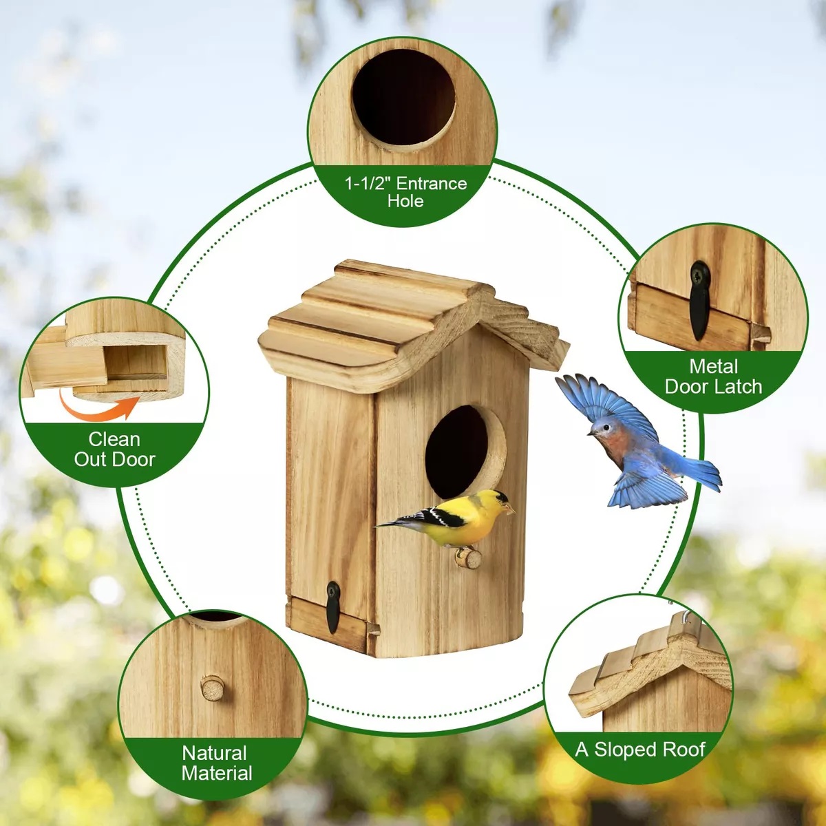 Nido De Colibri Casas Para Pajaros Nido De Pajaros