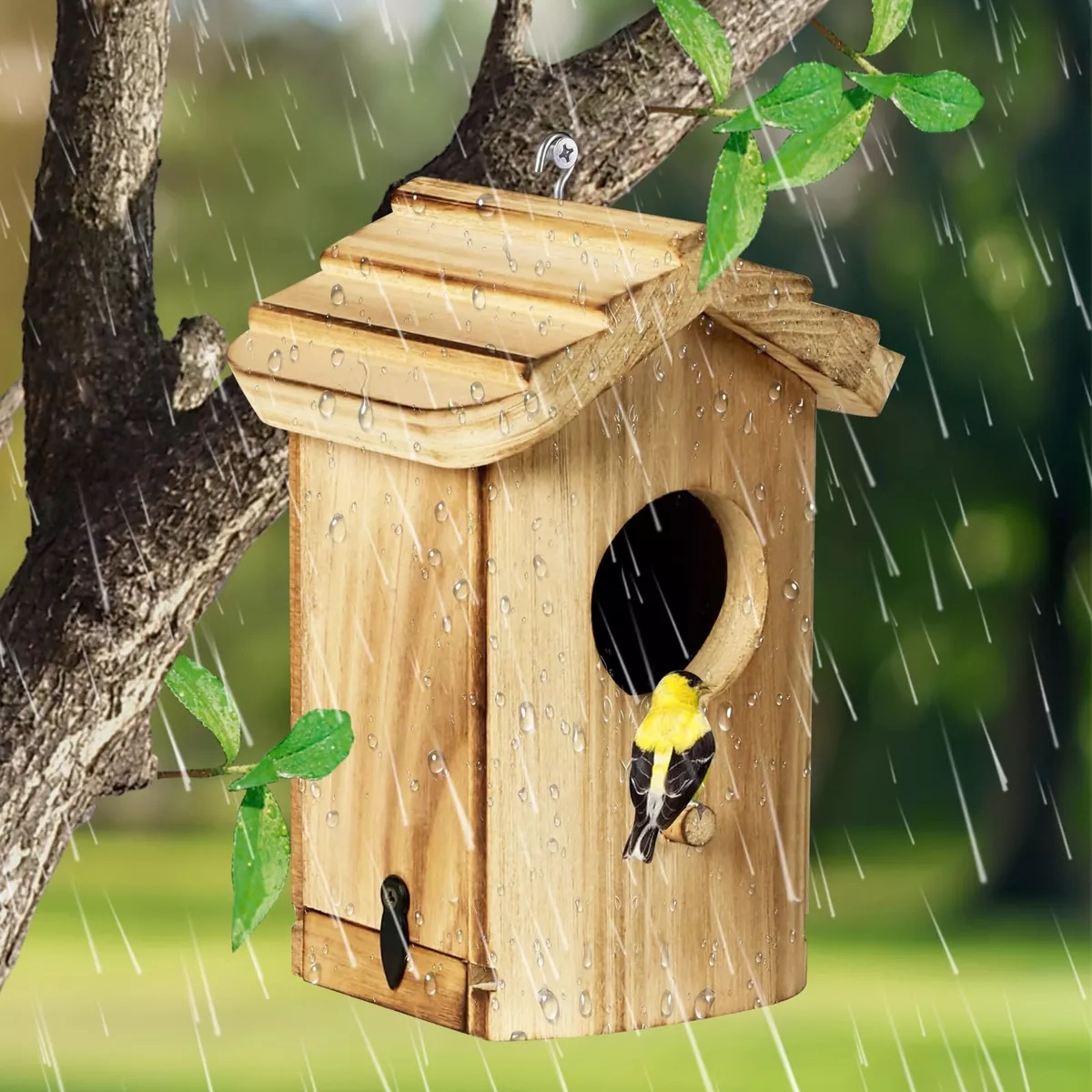 Nido De Colibri Casas Para Pajaros Nido De Pajaros