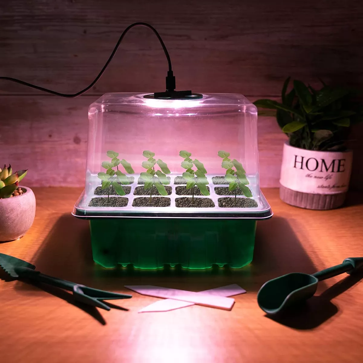 Bandeja De Cultivo De Semillas Con Luz De Crecimiento, 5 Pzs