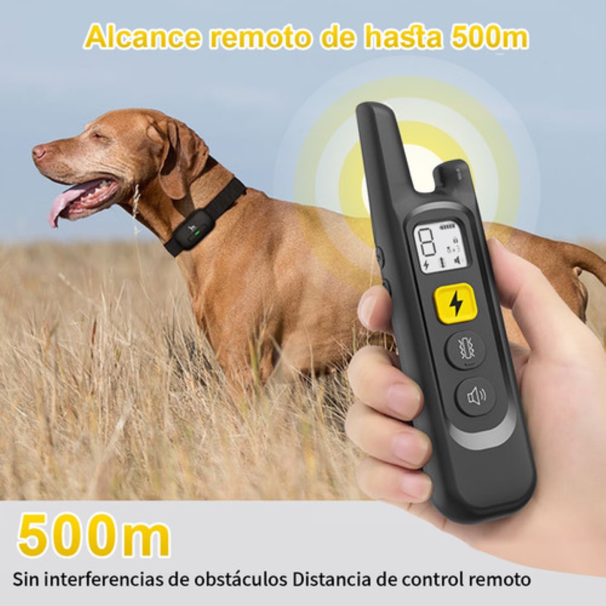 Collar Eléctrico Para De Adiestramiento Perros Color Negro