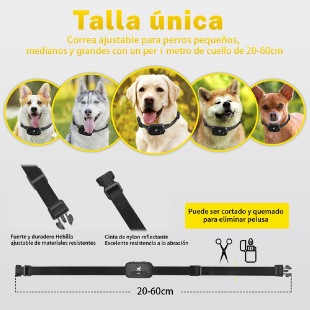 Collar Eléctrico Para De Adiestramiento Perros Color Negro