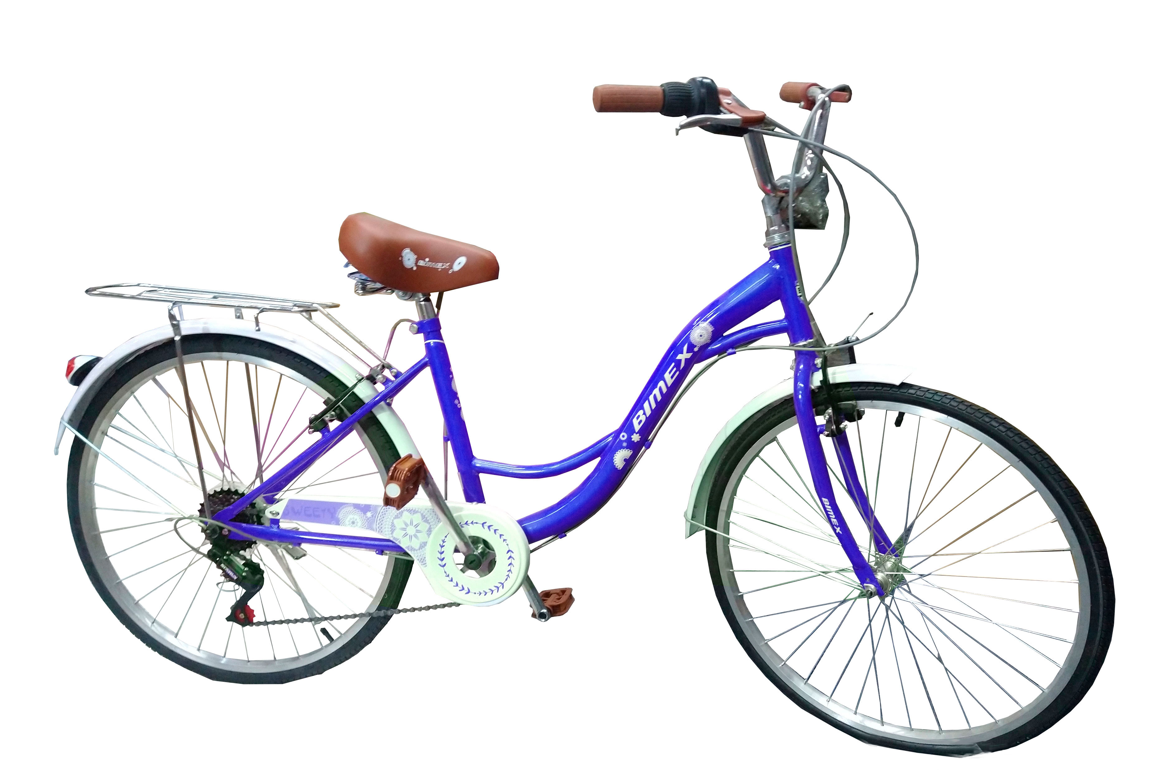 Bicicleta Gosa Sweety R24 Azul
